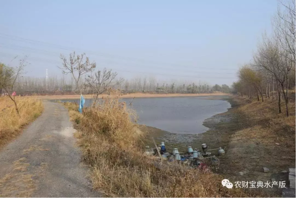 微信图片_201902011102052.png