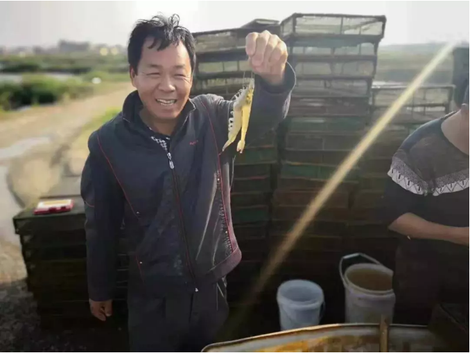 微信图片_201902011026041.png